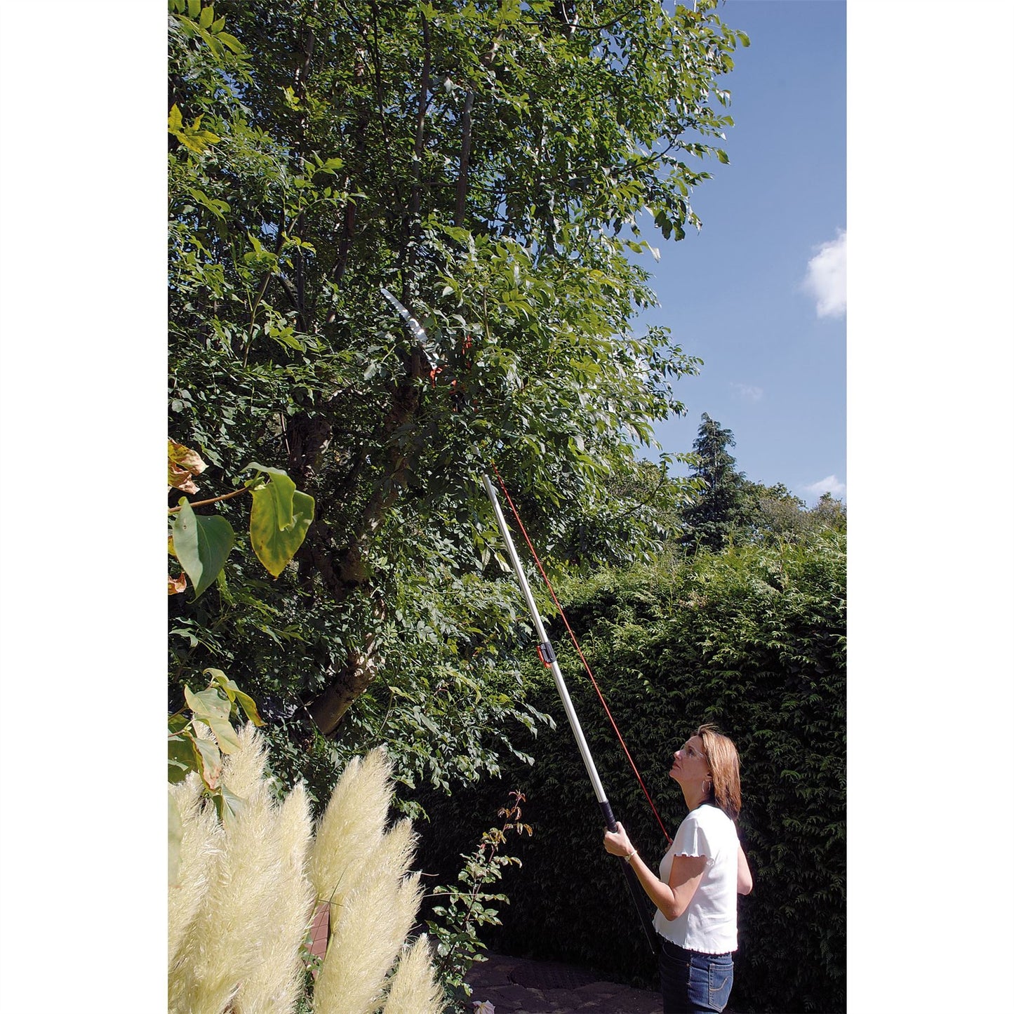 Draper 45334 Expert Tree Pruner with Telescopic Handle 32mm Diameter Draper