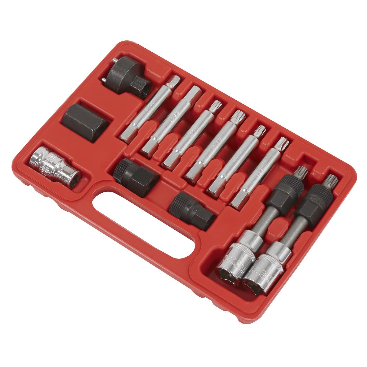 Sealey SX401 Alternator Freewheel Removal Set 13pc Sealey