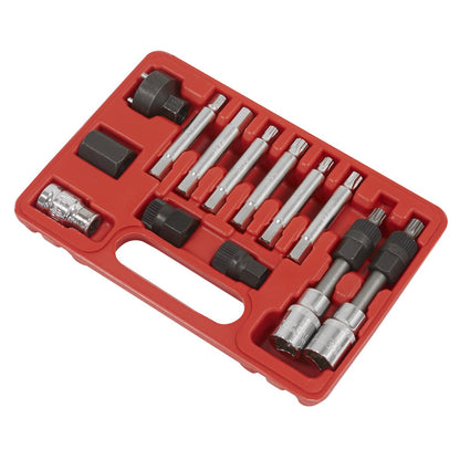Sealey SX401 Alternator Freewheel Removal Set 13pc Sealey