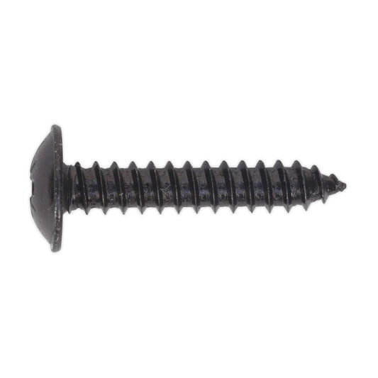 Sealey BST4825 Self-Tapping Screw 4.8 x 25mm Flanged Head Black Pozi Pack of 100 Sealey