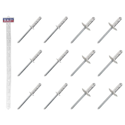 Sealey RVSET Clip Strip Deal - Aluminium Rivets Sealey