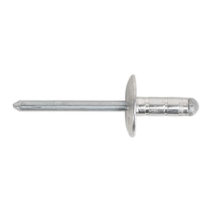 Sealey RVSET Clip Strip Deal - Aluminium Rivets Sealey