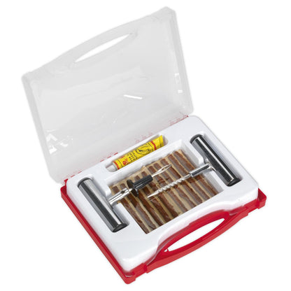 Sealey TST10 Temporary Puncture Repair Kit Sealey