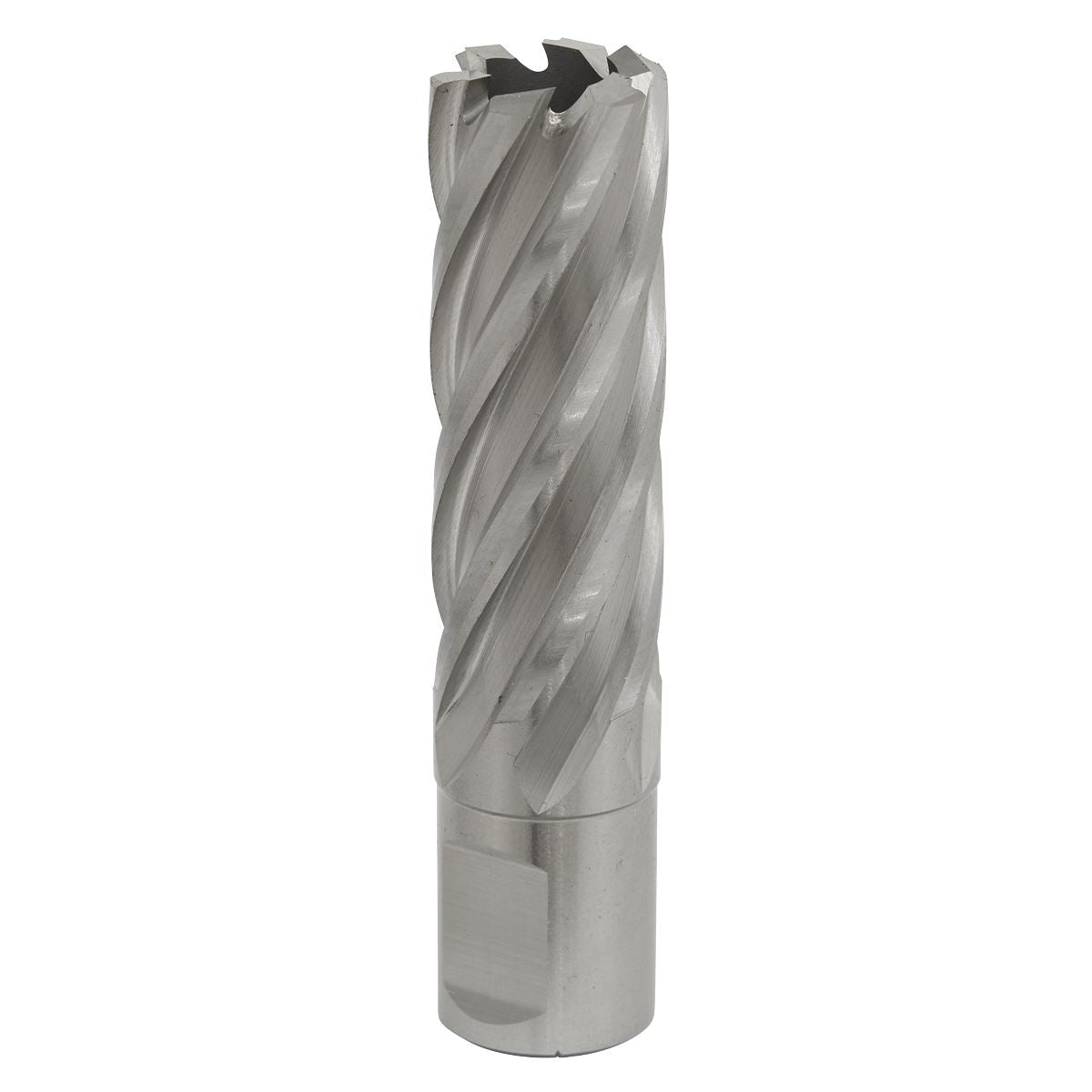 Sealey RBHSS20L Mag Drill Bit HSS Ø20mm - Cut Depth 50mm Sealey