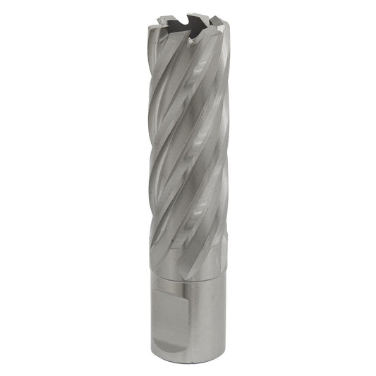 Sealey RBHSS20L Mag Drill Bit HSS Ø20mm - Cut Depth 50mm Sealey