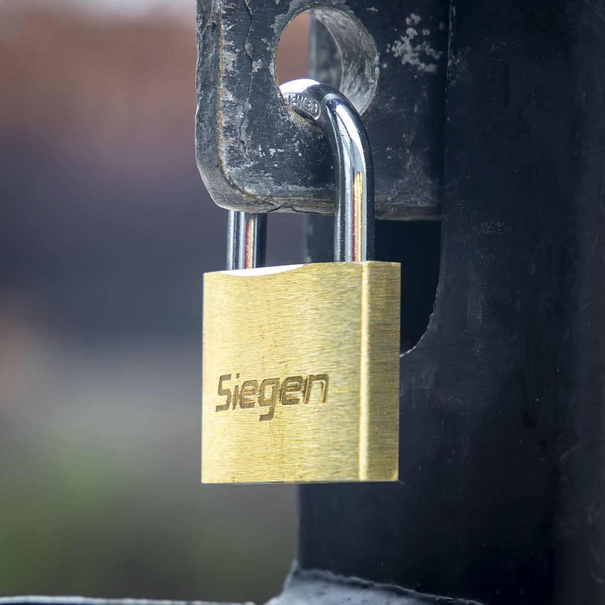 Siegen S0987 Brass Body Padlock with Brass Cylinder 40mm Siegen
