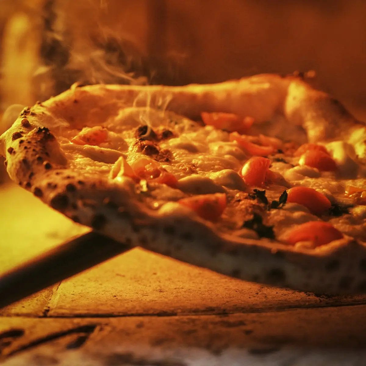 Dellonda DG103 Large Outdoor Wood-Fired Pizza Oven & Smoker with Side Shelves & Stand Dellonda