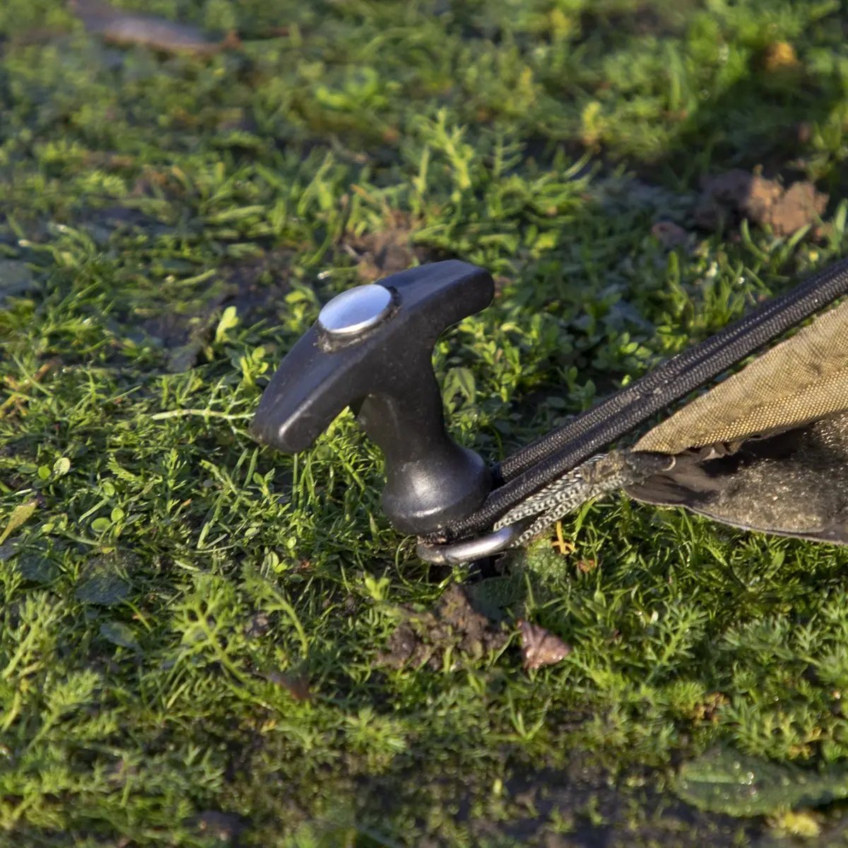 Dellonda DL75 Fishing Bivvy Carp Tent 1 Man Waterproof & UV Protection Quick Assembly Pre Threaded Poles with Ground Sheet & Heavy Duty Ground Pegs Dellonda