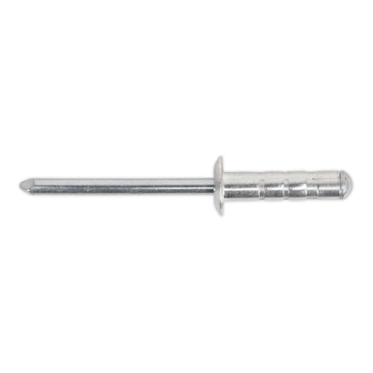 Sealey RVSET Clip Strip Deal - Aluminium Rivets Sealey