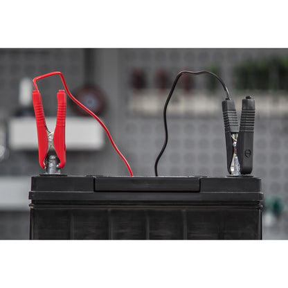 Sealey DSBC8 Battery Charger 8A 6/12V 230V Sealey