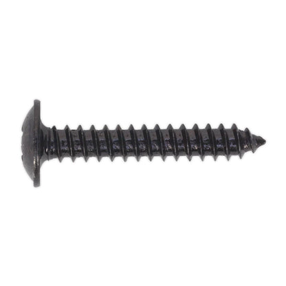 Sealey BST4225 Self-Tapping Screw 4.2 x 25mm Flanged Head Black Pozi Pack of 100 Sealey