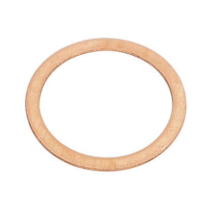 Sealey AB020CW Copper Sealing Washer Assortment 250pc - Metric Sealey