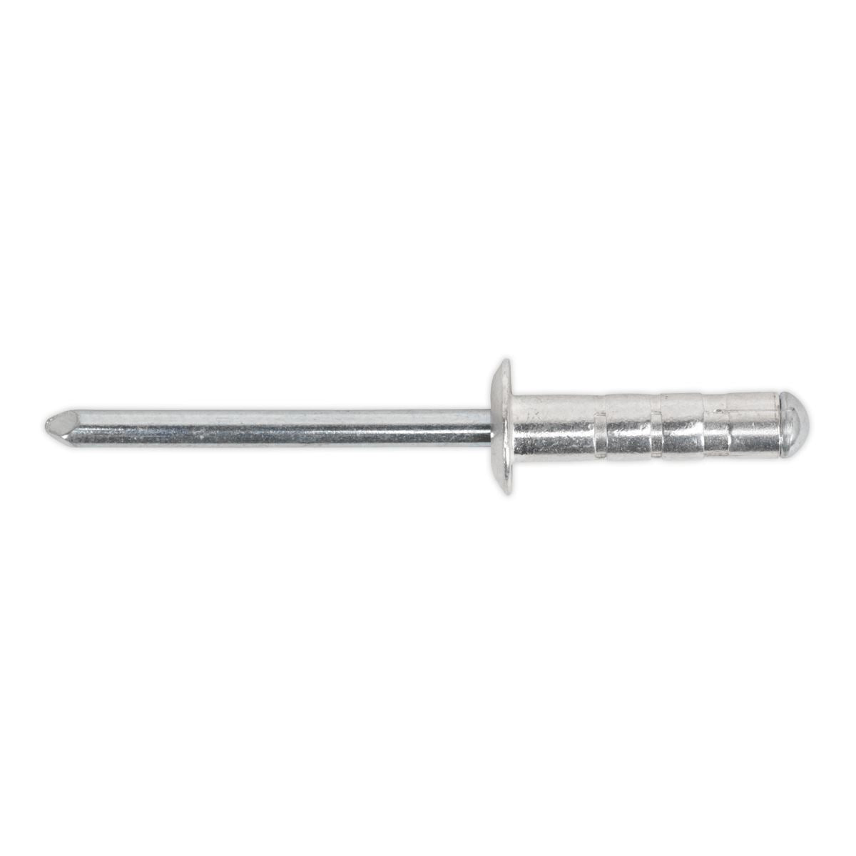 Sealey RVSET Clip Strip Deal - Aluminium Rivets Sealey