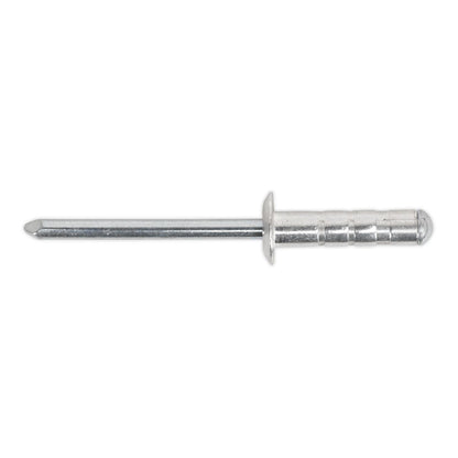 Sealey RVSET Clip Strip Deal - Aluminium Rivets Sealey
