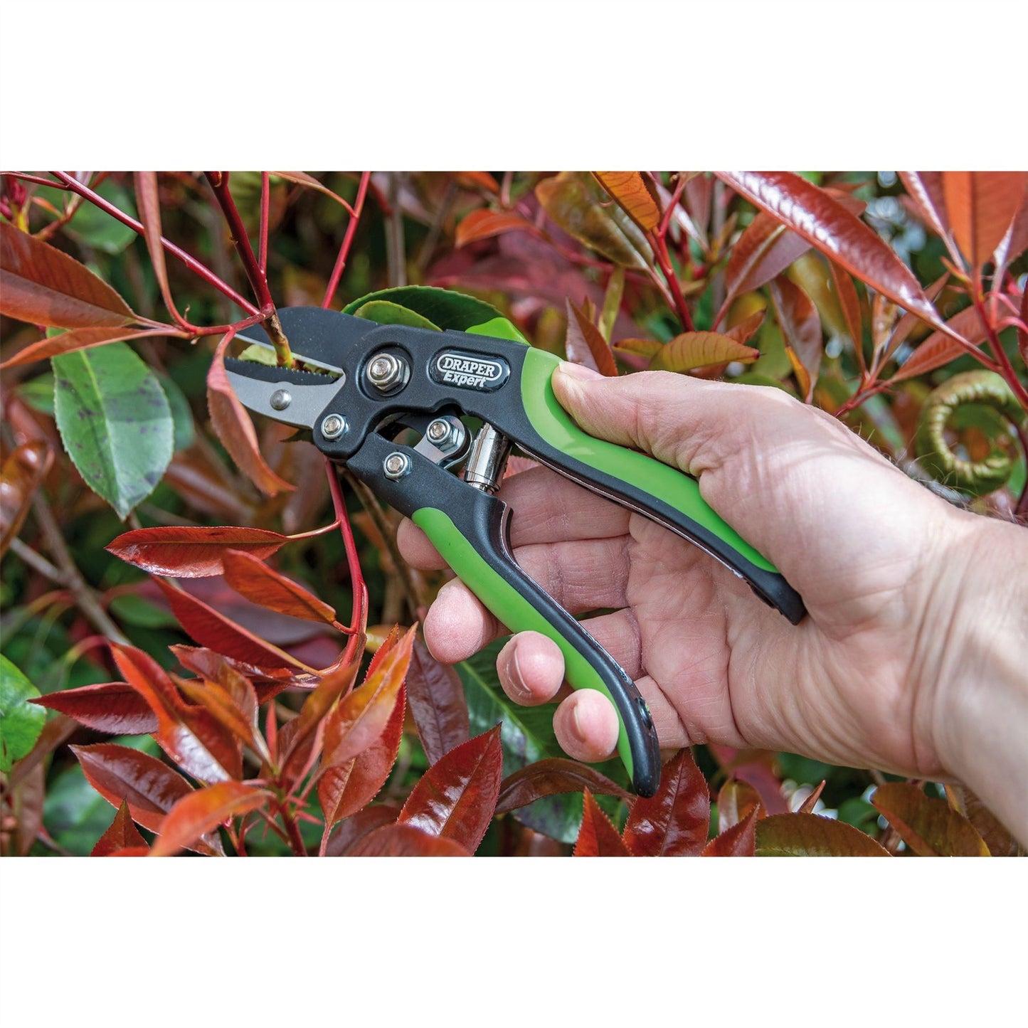 Draper 94983 Expert Anvil Pattern Secateurs 200mm Draper