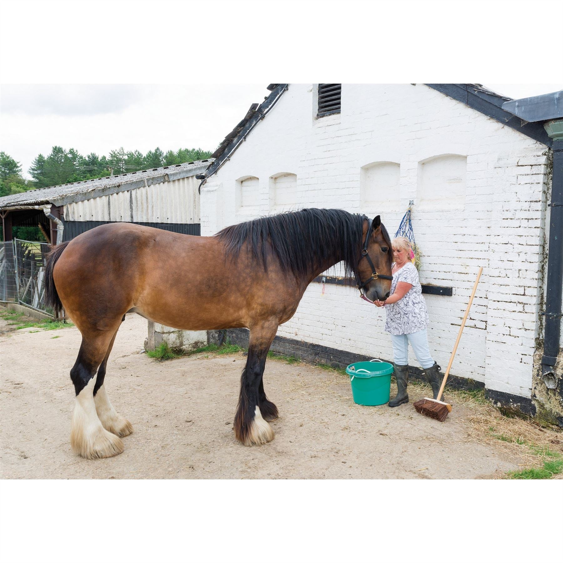 Draper 88618 Yard Broom 330mm Draper