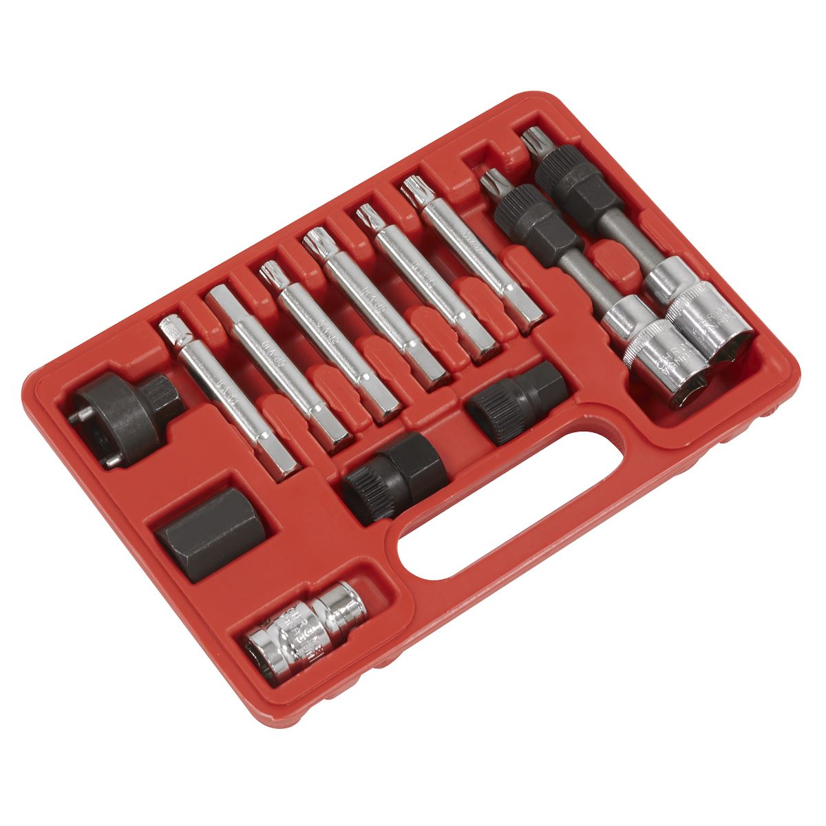 Sealey SX401 Alternator Freewheel Removal Set 13pc Sealey