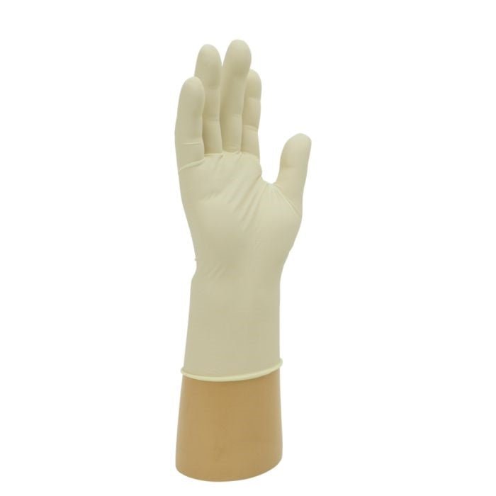 Bodyguards GL888 Powder Free Latex Disposable Gloves Bodyguards