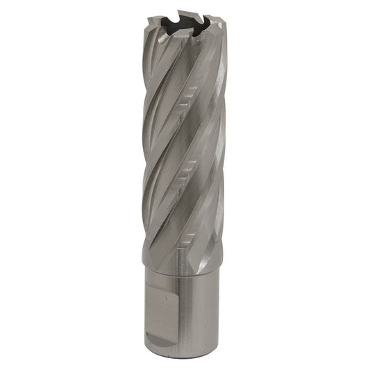 Sealey RBHSS22L Mag Drill Bit HSS Ø22mm - Cut Depth 50mm Sealey