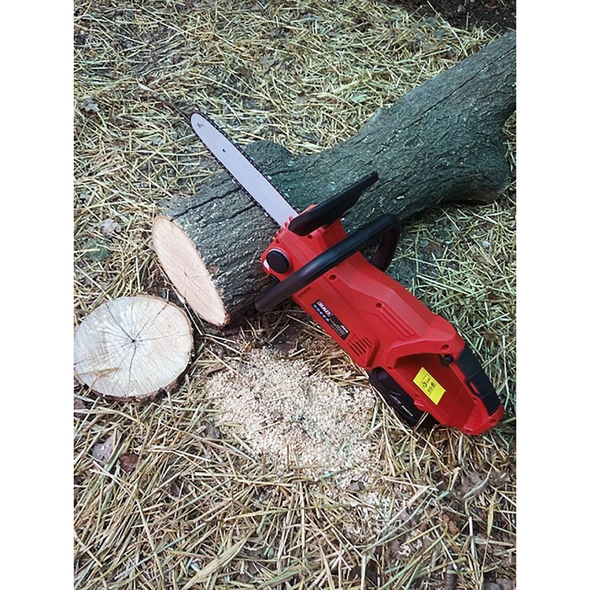 Sealey CP20VCHS Cordless Chainsaw 20V SV20 Series 25cm - Body Only Sealey
