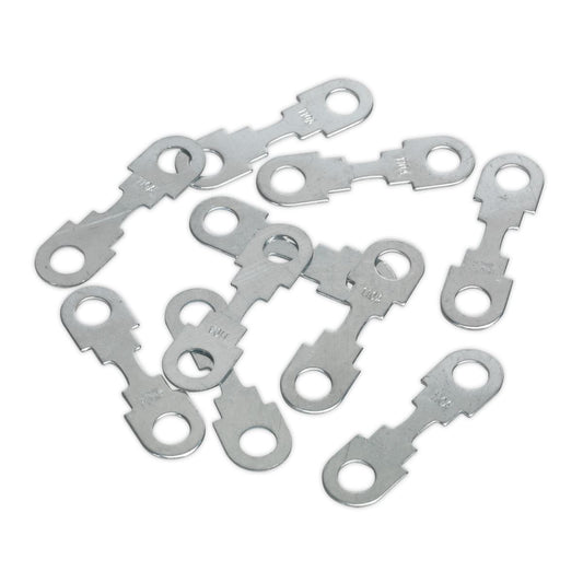 Sealey START360.F10 Fuse 110A for START560 Pack of 10 Sealey