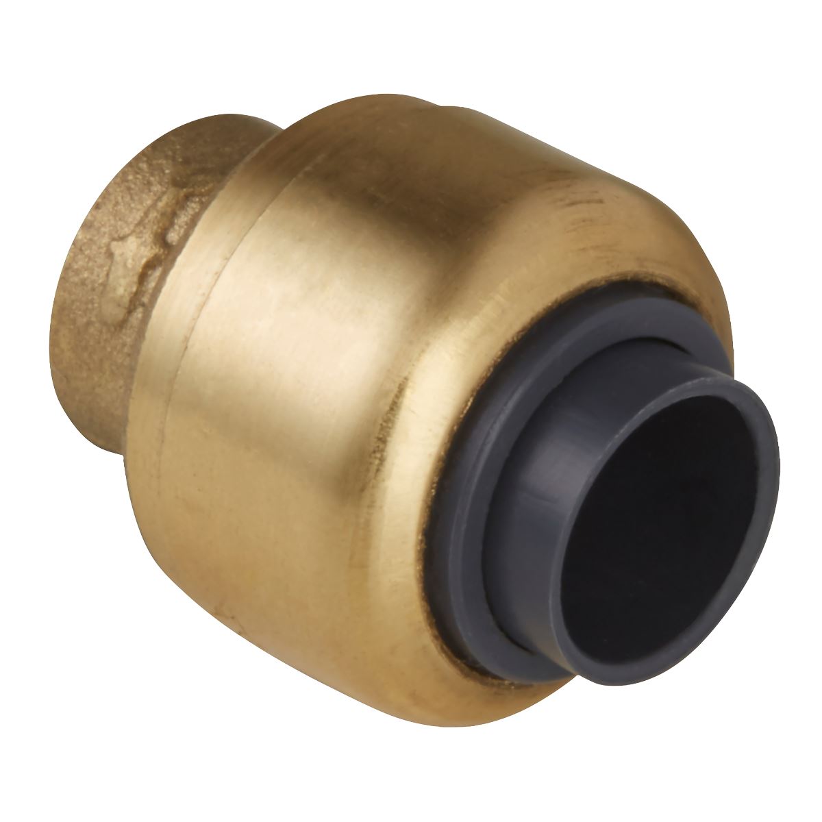 Sealey SBA15P SharkBite® Line End Plug 15mm Sealey