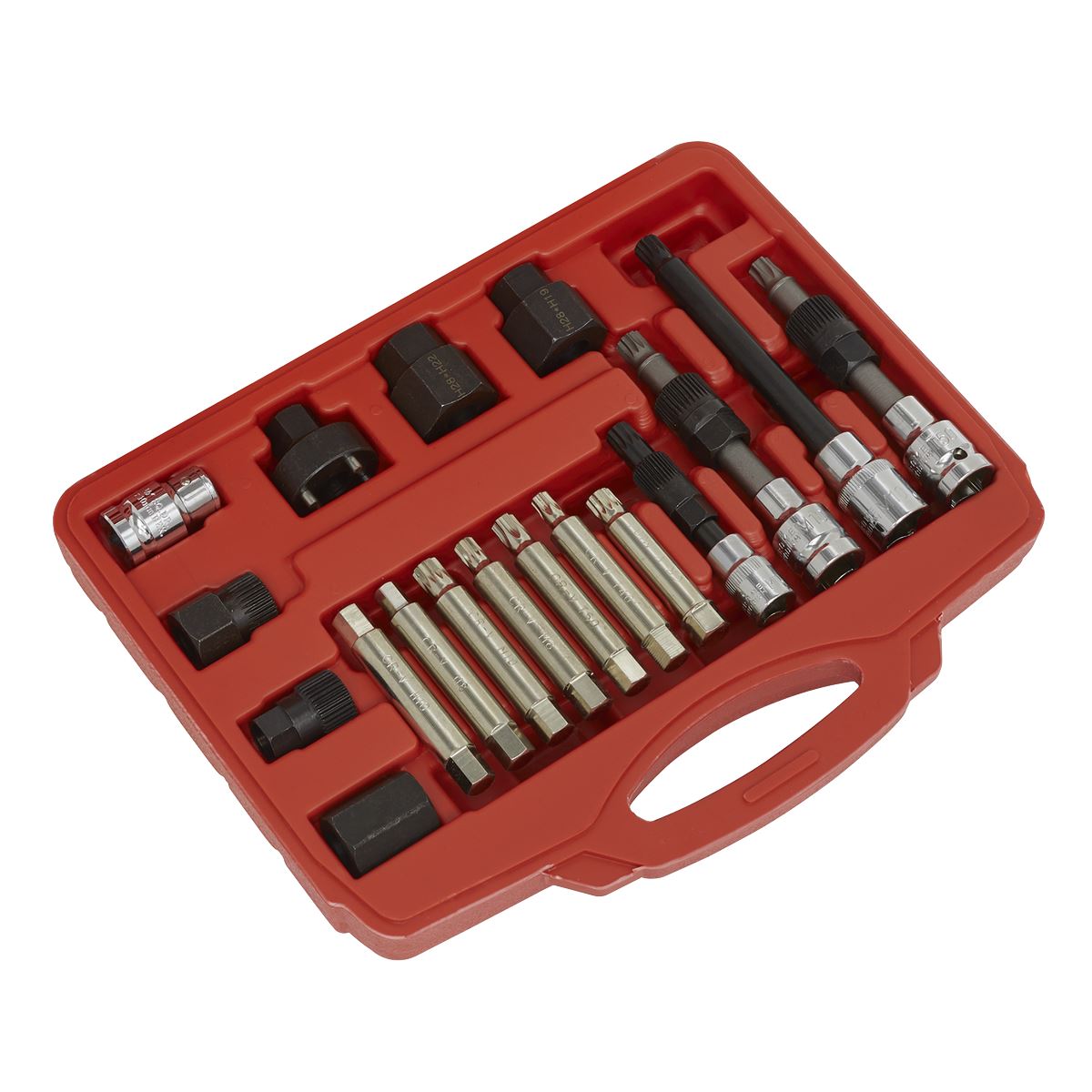 Sealey SX402 Alternator Freewheel Pulley Removal Set 18pc Sealey