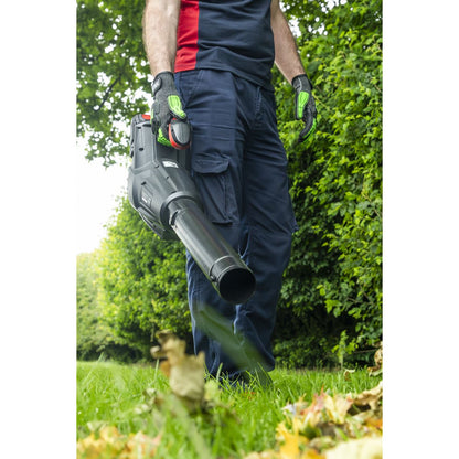 Sealey CP40VB Cordless Blower 40V SV20 Series - Body Only Sealey