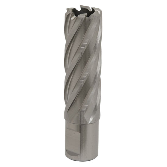 Sealey RBHSS21L Mag Drill Bit HSS Ø21mm - Cut Depth 50mm Sealey