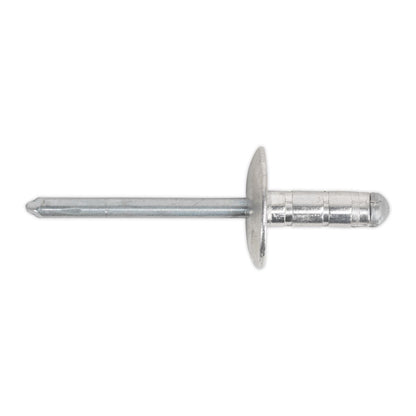 Sealey RVSET Clip Strip Deal - Aluminium Rivets Sealey
