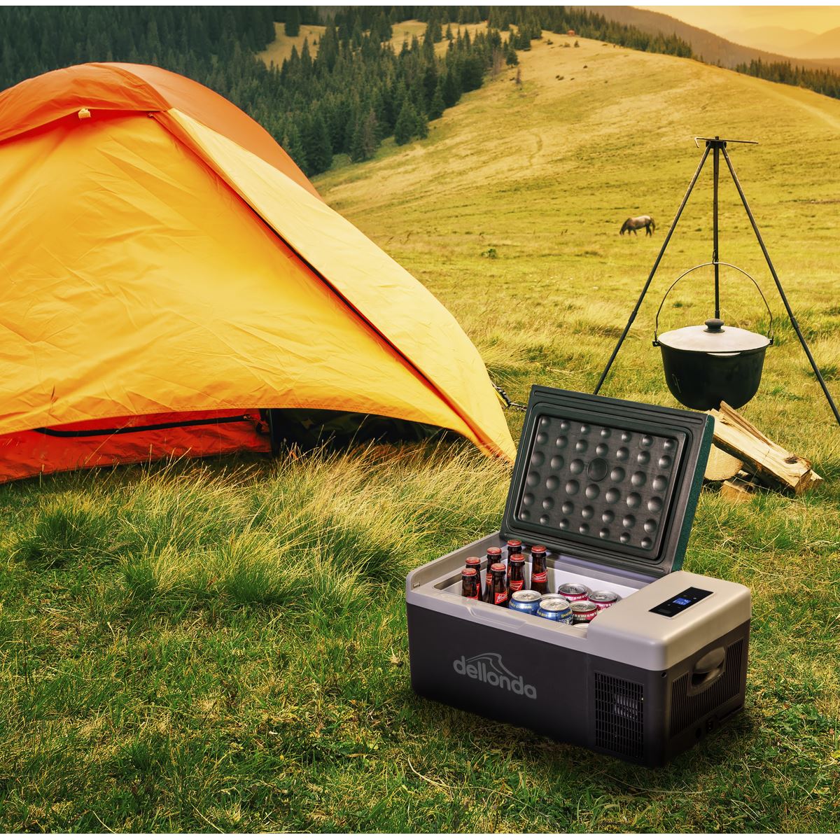 Dellonda DL12 Portable Fridge Freezer/Cool Box with LED Display 15L 12v/24v Dellonda