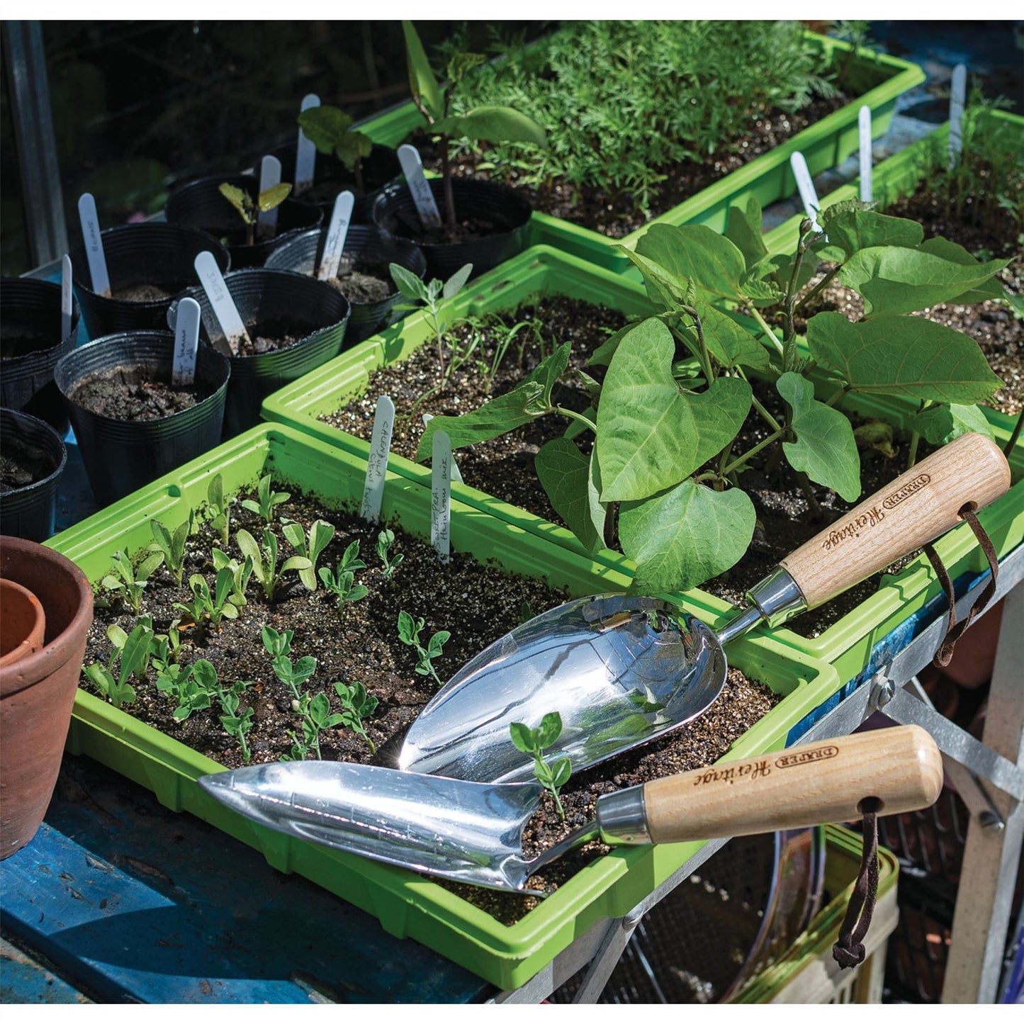 Draper 99024 Heritage Stainless Steel Hand Potting Scoop with Ash Handle Draper