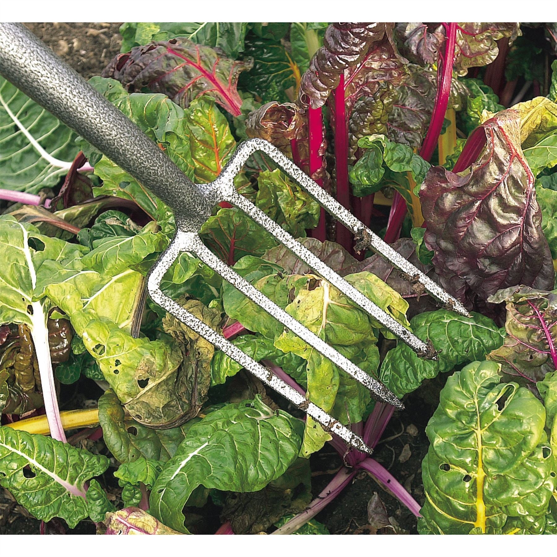 Draper 88791 Carbon Steel Border Fork Draper