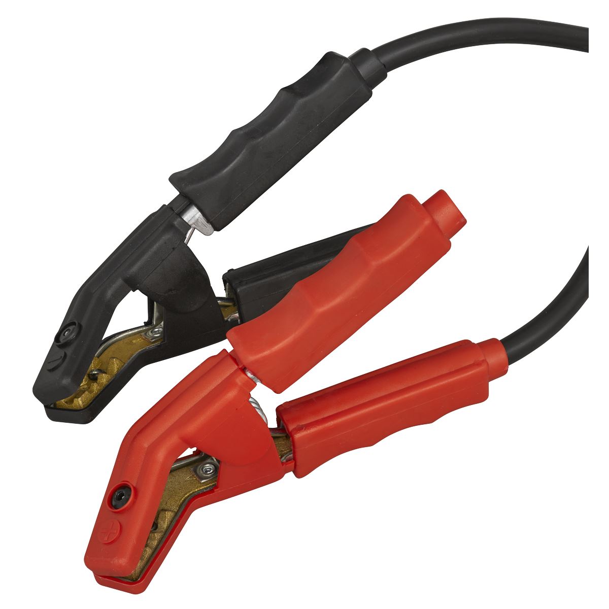 Sealey BSCU170 Battery Support Unit & Charger - 12V 100A Sealey