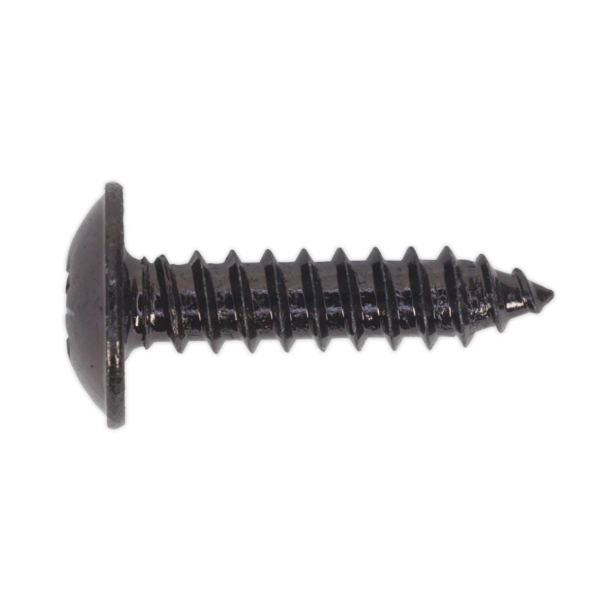 Sealey BST4819 Self-Tapping Screw 4.8 x 19mm Flanged Head Black Pozi Pack of 100 Sealey