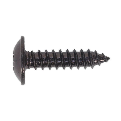 Sealey BST4819 Self-Tapping Screw 4.8 x 19mm Flanged Head Black Pozi Pack of 100 Sealey