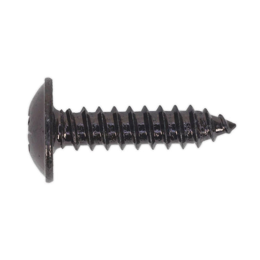 Sealey BST4819 Self-Tapping Screw 4.8 x 19mm Flanged Head Black Pozi Pack of 100 Sealey
