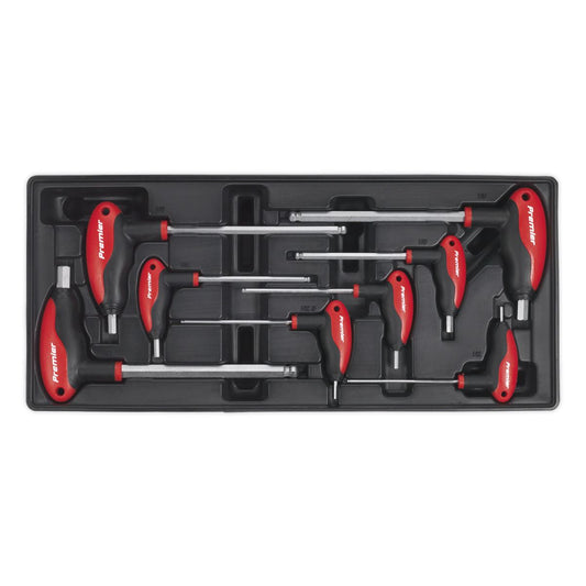 Sealey TBT06 Tool Tray with T-Handle Ball-End Hex Key Set 8pc Sealey
