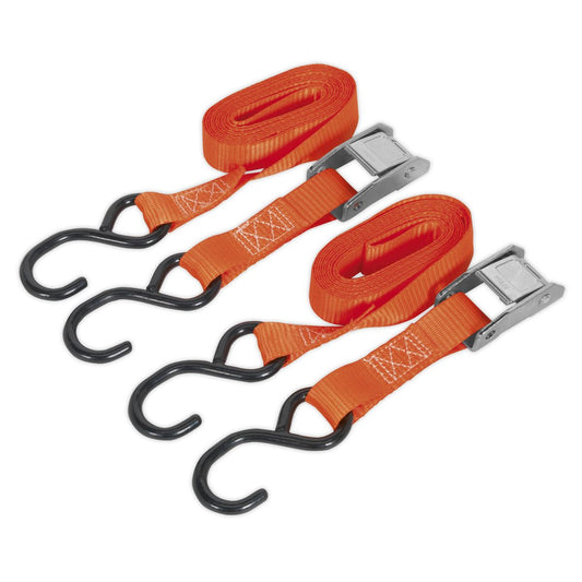 Sealey TD2525CS Cam Buckle Strap 25mm x 2.5m Polyester Webbing with S-Hooks 250kg Breaking Strength Sealey
