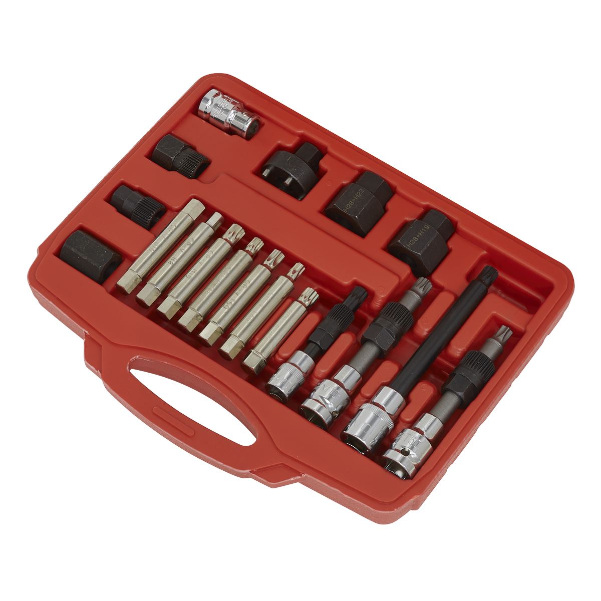 Sealey SX402 Alternator Freewheel Pulley Removal Set 18pc Sealey