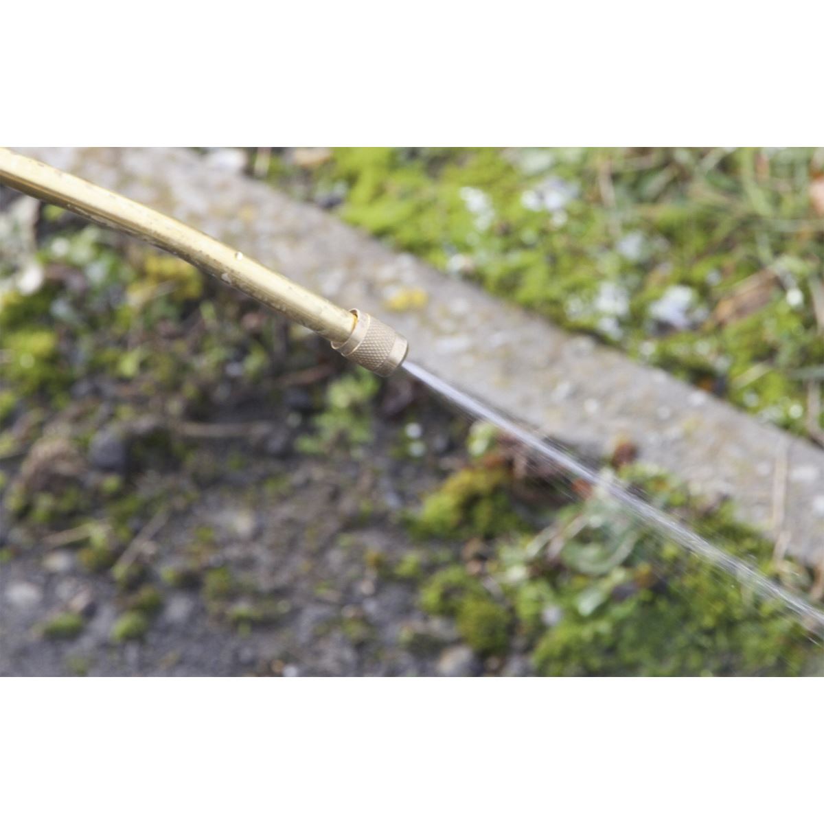 Sealey SS3 Pressure Sprayer 8L Sealey