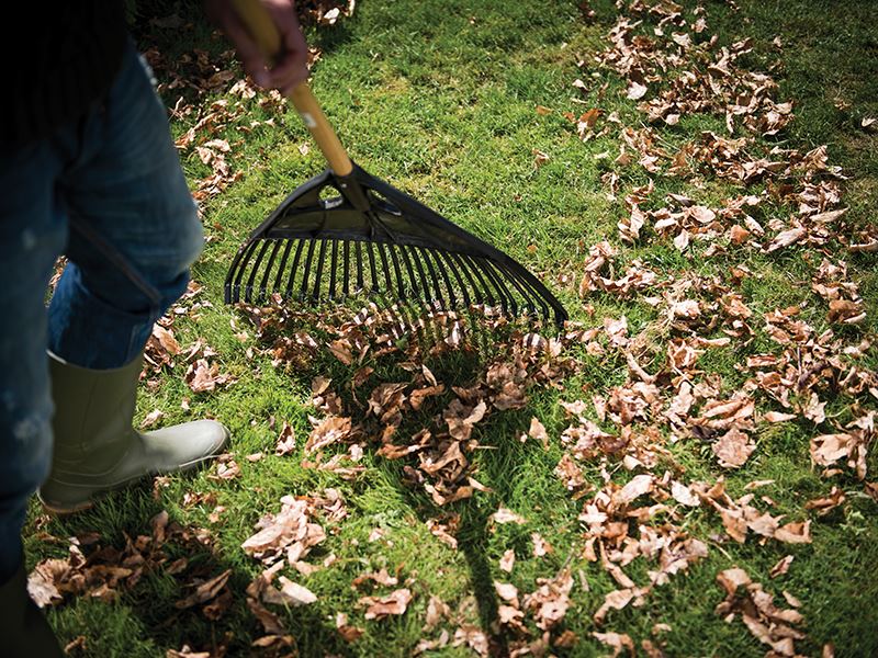 Fiskars Classic Large Leaf Rake 1001584 Fiskars