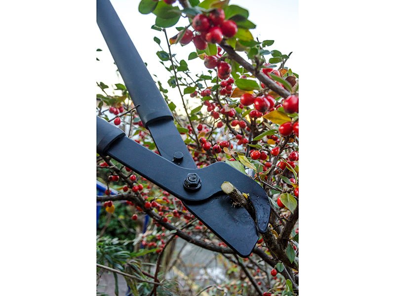 Fiskars SingleStep Bypass Lopper Hook Head 816mm 1001426 Fiskars