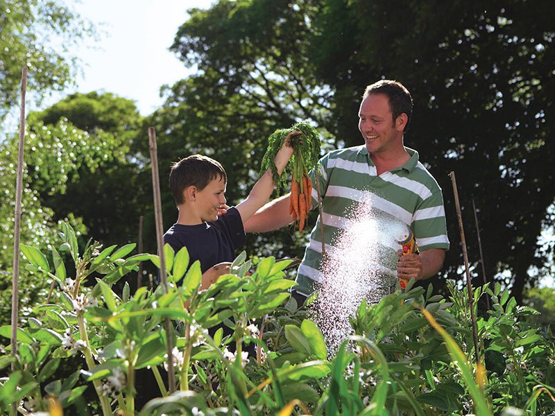 Hozelock 2684 Multi Spray Gun Plus Hozelock