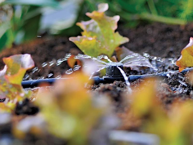 Hozelock 2786 In Line Adjustable Mini Sprinkler 4mm Pack 12 Hozelock