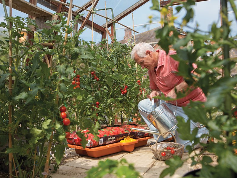 Hozelock 2810 Growbag Waterer Hozelock