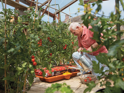 Hozelock 2810 Growbag Waterer Hozelock