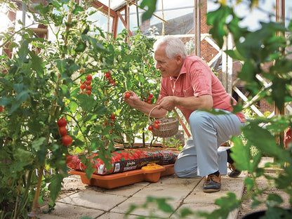 Hozelock 2810 Growbag Waterer Hozelock