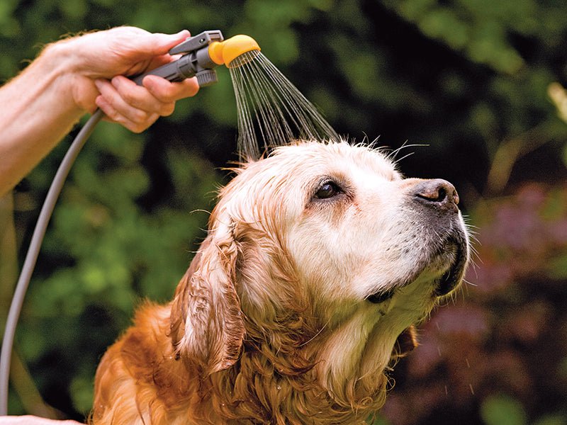 Hozelock 4140 4-in-1 Multi Use Portashower Hozelock