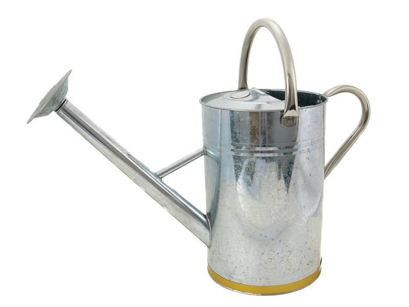 Kent & Stowe Metal Watering Can Galvanised Steel 9 Litre Kent & Stowe